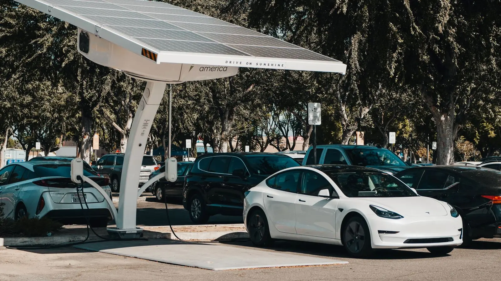 Voitures électriques en charge sous un ombrière photovoltaïque
