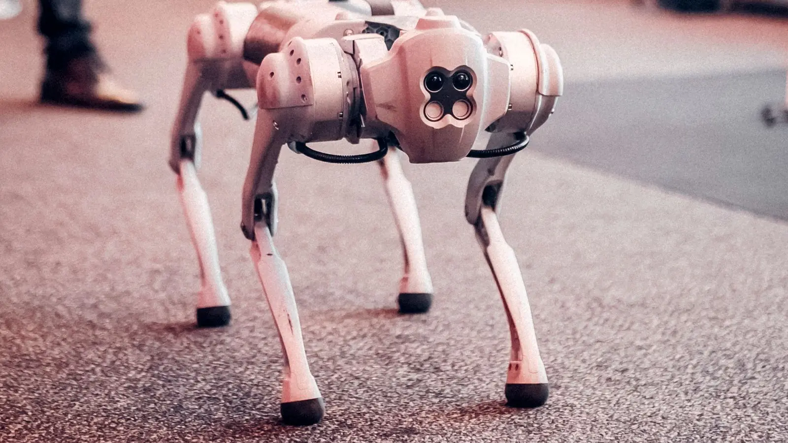 Robot quadrupède présenté sur le sol d'un salon technologique